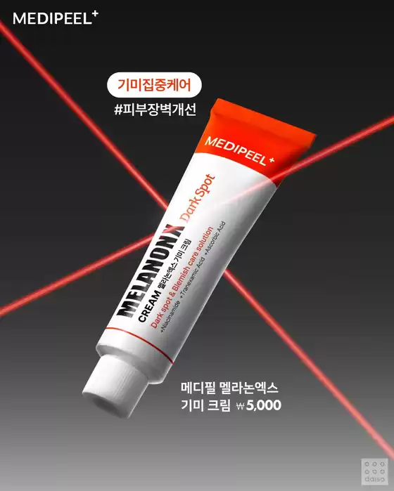 다이소 전단지