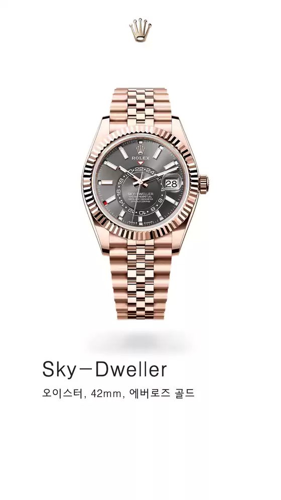 롤렉스 카탈로그 | sky dweller | 2025-08-21T00:00:00.000Z - 2025-09-04T00:00:00.000Z