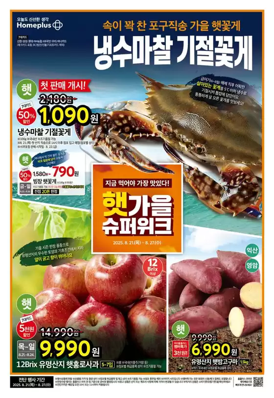 당신을 위한 최고의 제안