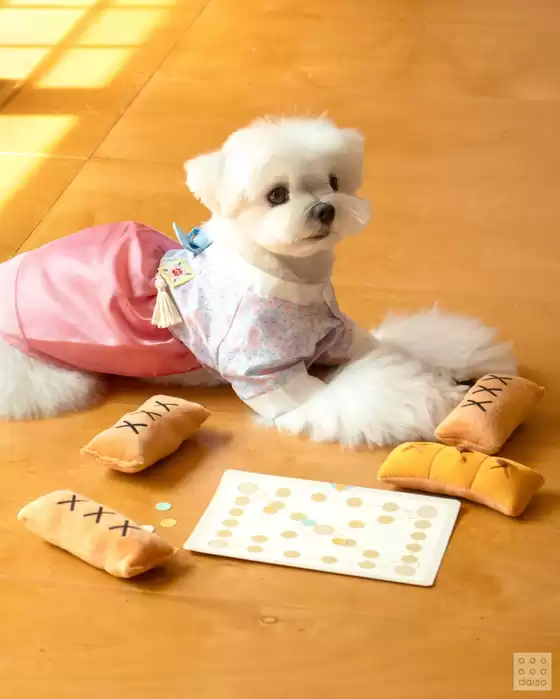 다이소 전단지