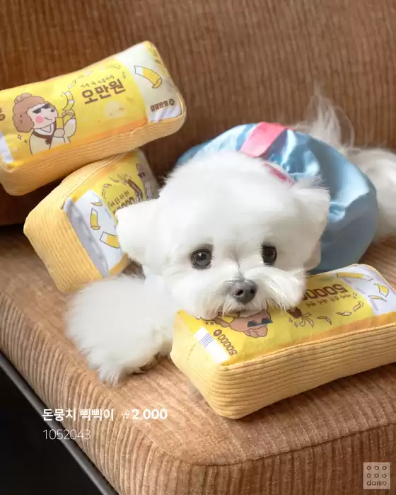 다이소 전단지