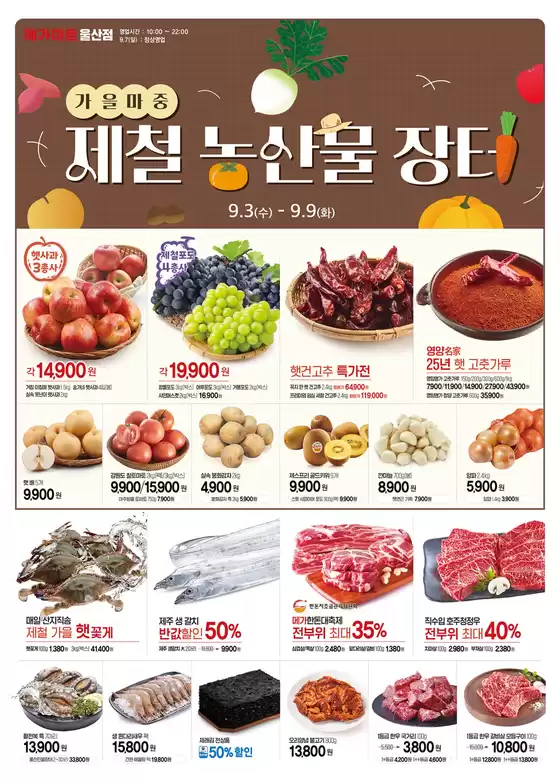 매력적인 제안을 발견하세요
