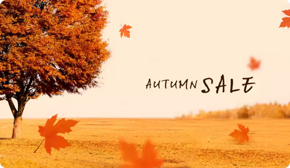Autumn Sale!