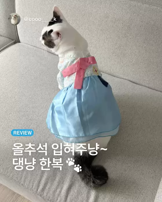 다이소 전단지
