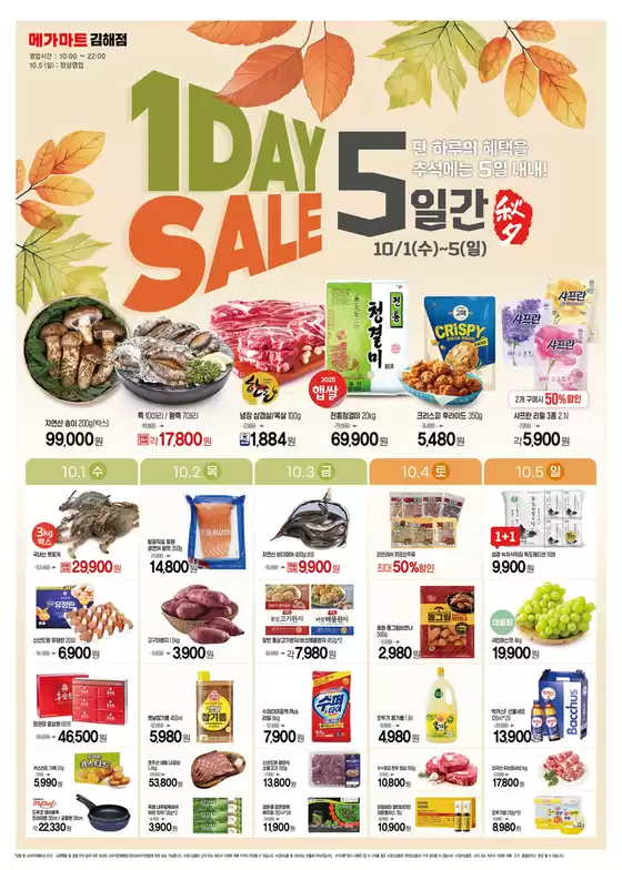 매력적인 제안을 발견하세요