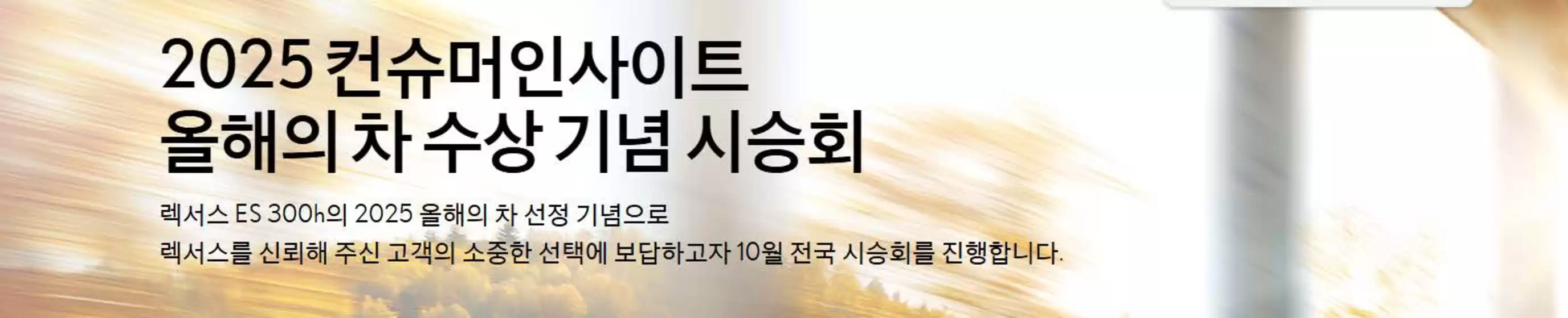 2025 올해의 차선정