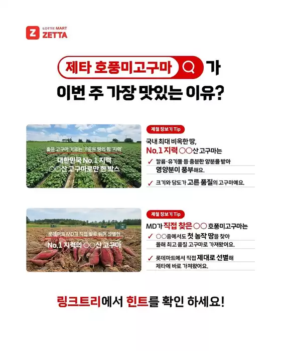 까지 제철 특가로