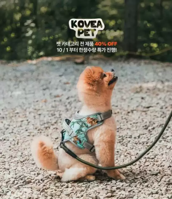 코베아 카탈로그 | 펫 카테고리 전 제품 40% OFF | 2025-10-17T00:00:00.000Z - 2025-10-22T00:00:00.000Z