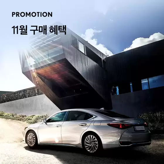 이달의 구매 혜택 - 11월 