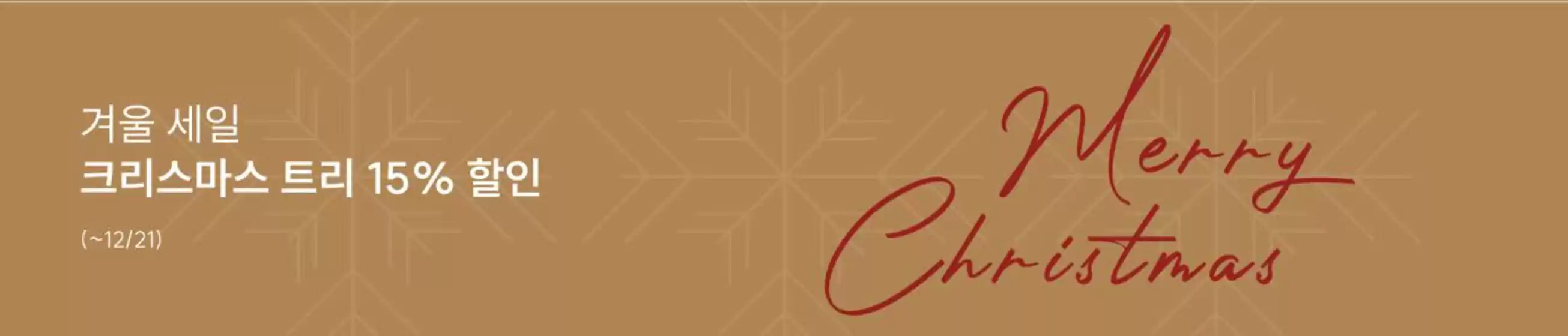 강남구의 소호앤노호 카탈로그 | 겨울 세일 크리스마스 트리 15% 할인 | 2025-12-19T00:00:00.000Z - 2025-12-21T00:00:00.000Z