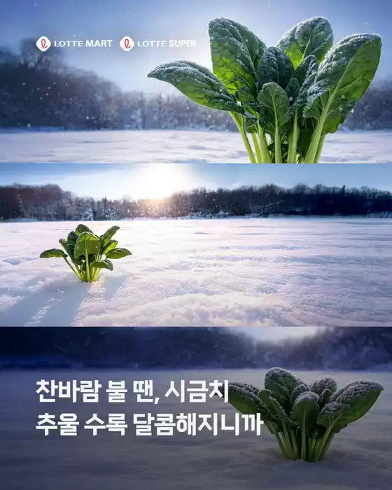 김해시의 빅마켓 카탈로그 | 제철 시금치를 만나보세요 | 2026-01-09T00:00:00.000Z - 2026-01-14T00:00:00.000Z