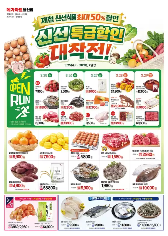 성남시의 메가마트 카탈로그 | 모든 고객을 위한 멋진 제안 | 2026-03-25T00:00:00.000Z - 2026-03-31T00:00:00.000Z