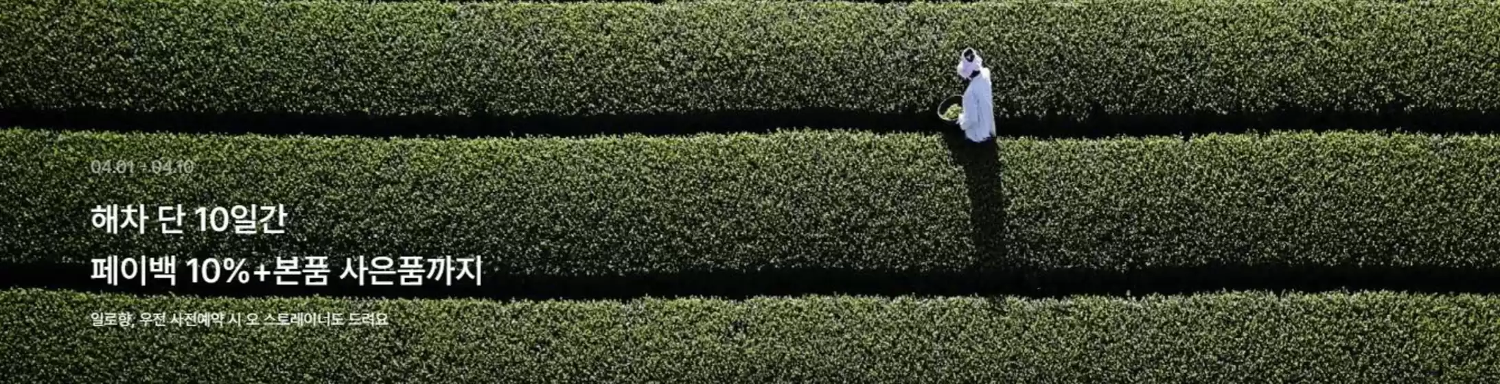 유성구의 오설록 카탈로그 | 해차 단 10일간 페이백 10%+본품 사은품까지 | 2026-04-01T00:00:00.000Z - 2026-04-10T00:00:00.000Z