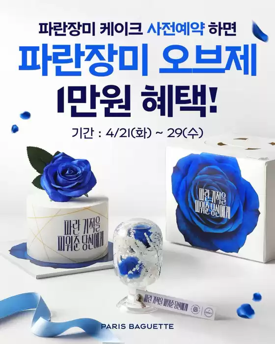 중구 - 서울특별시의 파리바게트 카탈로그 | 기적을 담은 파란장미 케이크와 오브제를 선물해보세요! | 2026-04-21T00:00:00.000Z - 2026-04-29T00:00:00.000Z