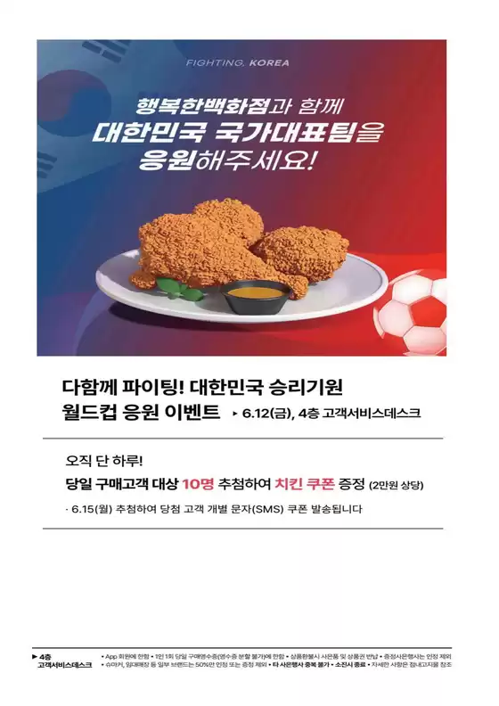 main_flyer image
