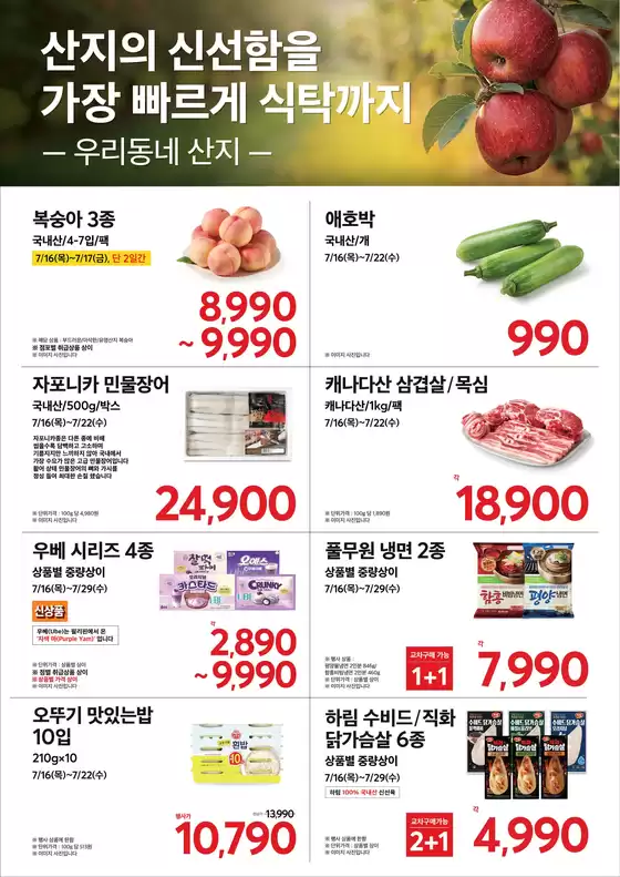 홈플러스 카탈로그 | 홈플러스 전단지 | 2026-07-16T00:00:00.000Z - 2026-07-29T00:00:00.000Z