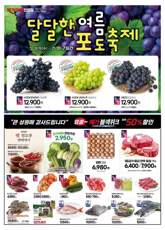 메가마트 카탈로그 | 독점 특가 | 2026-08-19T00:00:00.000Z - 2026-08-25T00:00:00.000Z