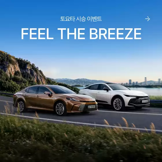 장흥군의 도요타 카탈로그 | 선선해진 바람을 따라 떠나는 여정 | 2026-09-08T00:00:00.000Z - 2026-09-30T00:00:00.000Z