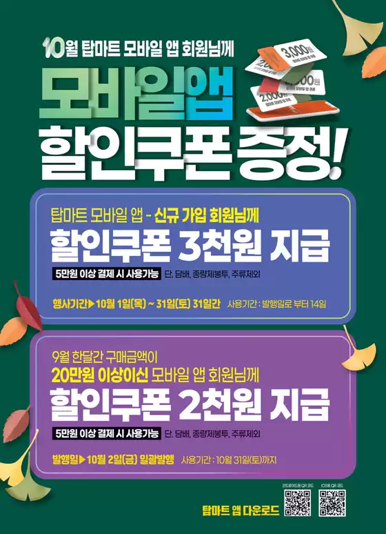 main_flyer image