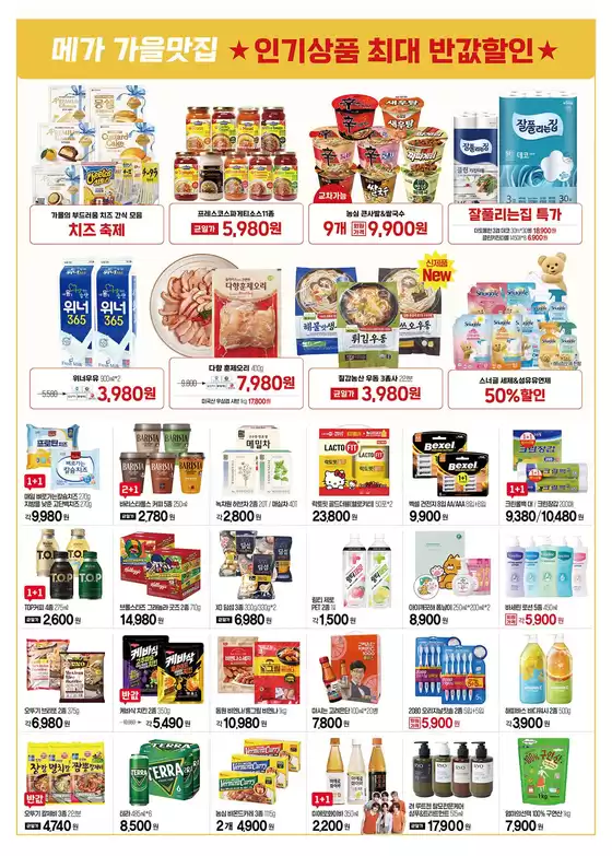main_flyer image