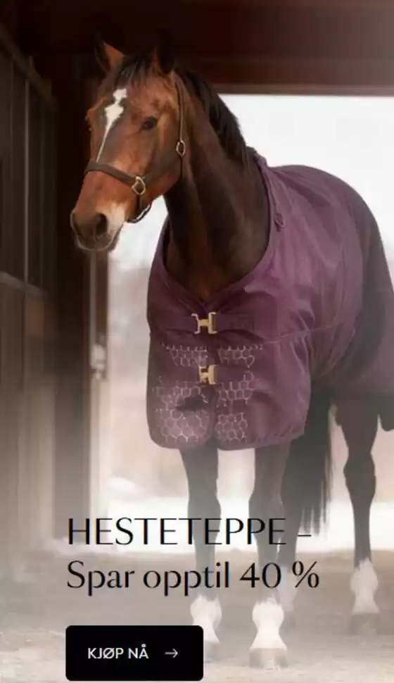 Horze-katalog i Trondheim | Spar Opptil 40% | 2025-12-09T00:00:00.000Z - 2025-12-23T00:00:00.000Z