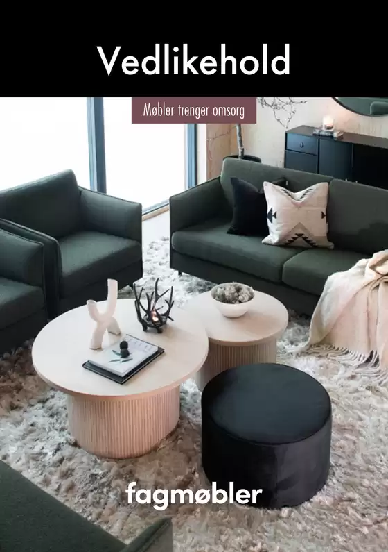 Fagmøbler-katalog i Kvinesdal | Vedlikeholdsbrosjyre | 2025-12-15T00:00:00.000Z - 2025-12-29T00:00:00.000Z