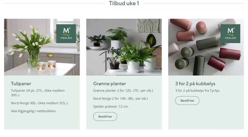 Mester Grønn-katalog i Sandefjord | Tilbud uke 1 | 2025-12-30T00:00:00.000Z - 2026-01-04T00:00:00.000Z