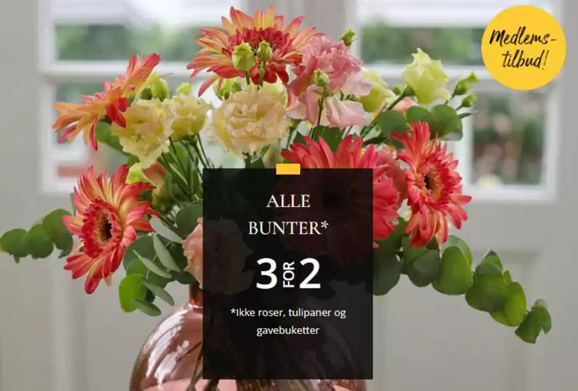 Floriss-katalog i Halden | 3 for 2 alle bunter | 2026-01-07T00:00:00.000Z - 2026-01-21T00:00:00.000Z