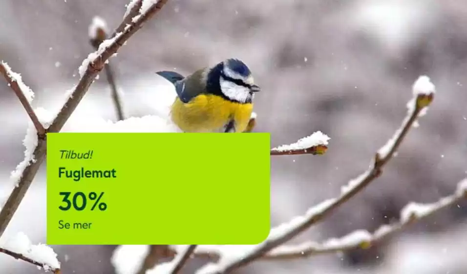 Hageland-katalog i Halden | Fuglemat 30% | 2026-01-07T00:00:00.000Z - 2026-01-21T00:00:00.000Z