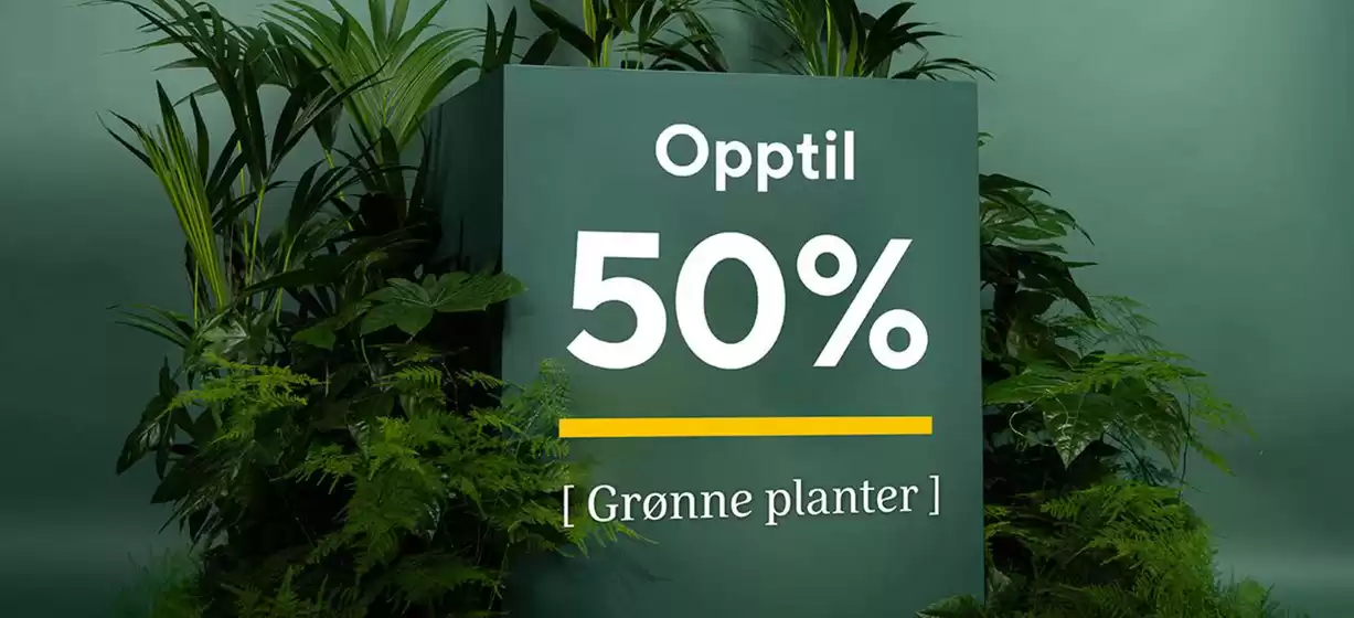 Mester Grønn-katalog i Halden | Opptil 50% Grønne planter | 2026-01-07T00:00:00.000Z - 2026-01-21T00:00:00.000Z