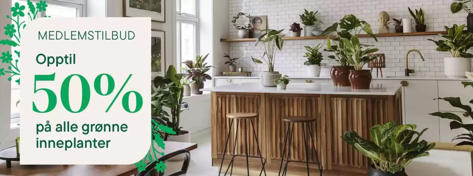 Plantasjen-katalog i Ulsteinvik | Opptil 50% Medlemstilbud | 2026-01-22T00:00:00.000Z - 2026-01-31T00:00:00.000Z