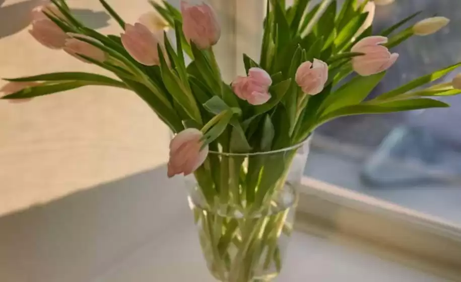 Rum21-katalog i Sand | Valentinsdag-salg, Opptil 20% | 2026-02-05T00:00:00.000Z - 2026-02-14T00:00:00.000Z