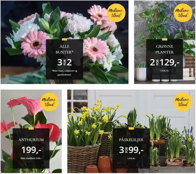 Floriss-katalog i Vestby | Ukens tilbud | 2026-03-02T00:00:00.000Z - 2026-03-08T00:00:00.000Z