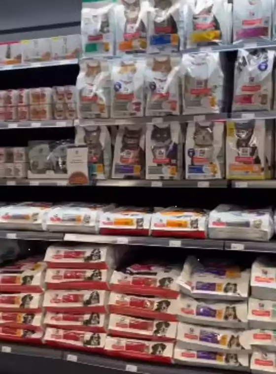 Dyrego Zoo-katalog i Tiller | -20% på hele sortimentet | 2026-03-11T00:00:00.000Z - 2026-03-14T00:00:00.000Z