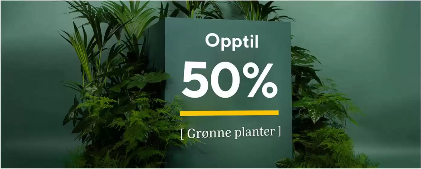 Opptil 50%