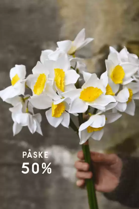 Dorothea-katalog | Paske 50% | 2026-04-03T00:00:00.000Z - 2026-04-17T00:00:00.000Z