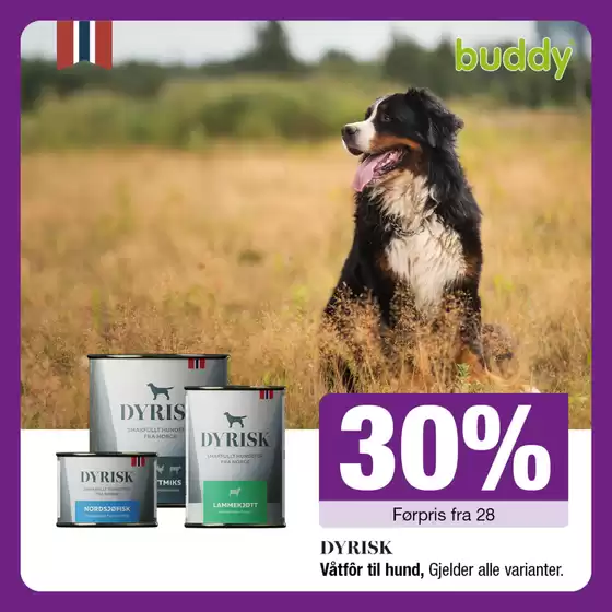 Buddy-katalog | Buddy Promo | 2026-05-18T00:00:00.000Z - 2026-05-23T00:00:00.000Z