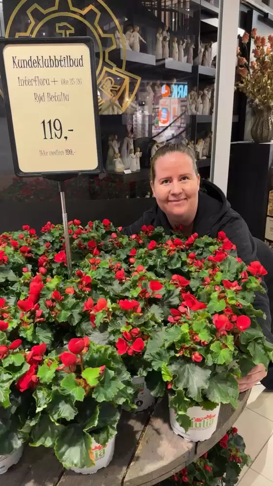 Spire Blomsterhåndverk-katalog i Husnes | Spire Blomsterhåndverk Salg | 2026-06-19T00:00:00.000Z - 2026-07-03T00:00:00.000Z