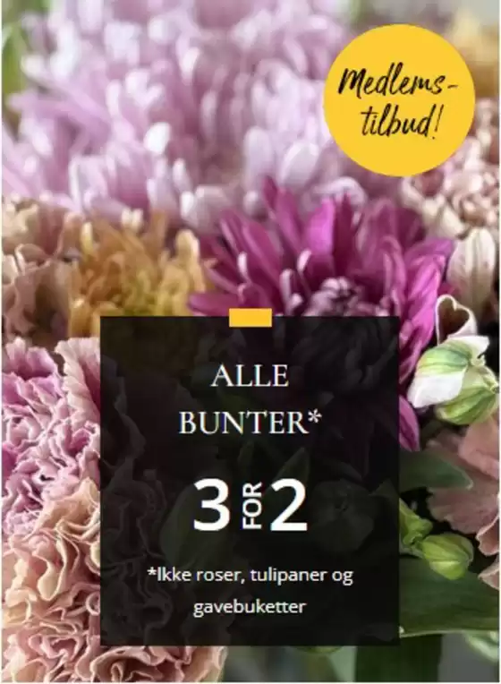 Floriss-katalog | Medlems-tilbud! | 2026-06-29T00:00:00.000Z - 2026-07-13T00:00:00.000Z