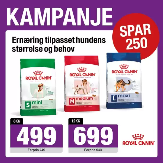 Buddy-katalog i Torp | Kampanje | 2026-07-31T00:00:00.000Z - 2026-08-08T00:00:00.000Z