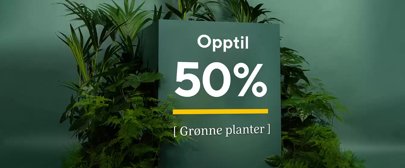 Mester Grønn-katalog | Mester Grønn Promo | 2026-08-26T00:00:00.000Z - 2026-09-09T00:00:00.000Z