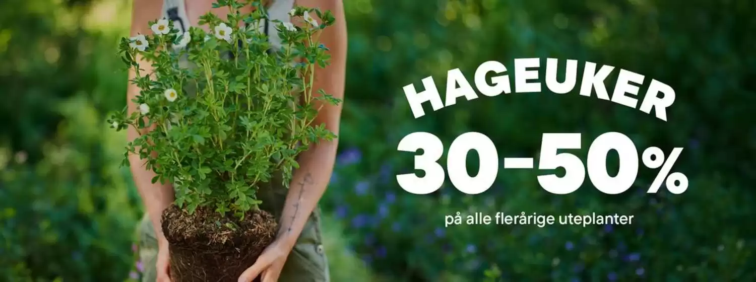 Plantasjen-katalog | Hageuker | 2026-09-08T00:00:00.000Z - 2026-09-22T00:00:00.000Z
