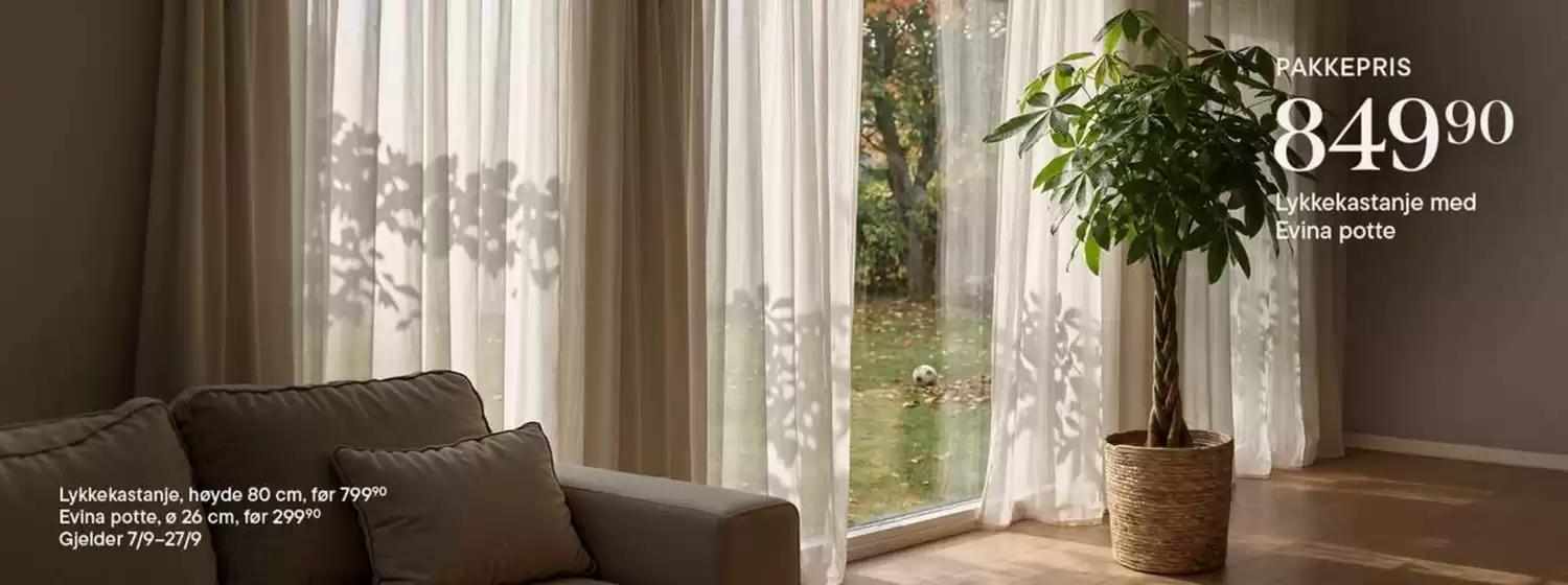 Plantasjen-katalog | Plantasjen Salg | 2026-09-08T00:00:00.000Z - 2026-09-27T00:00:00.000Z