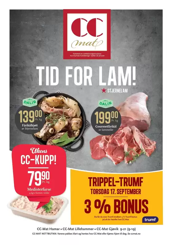 main_flyer image