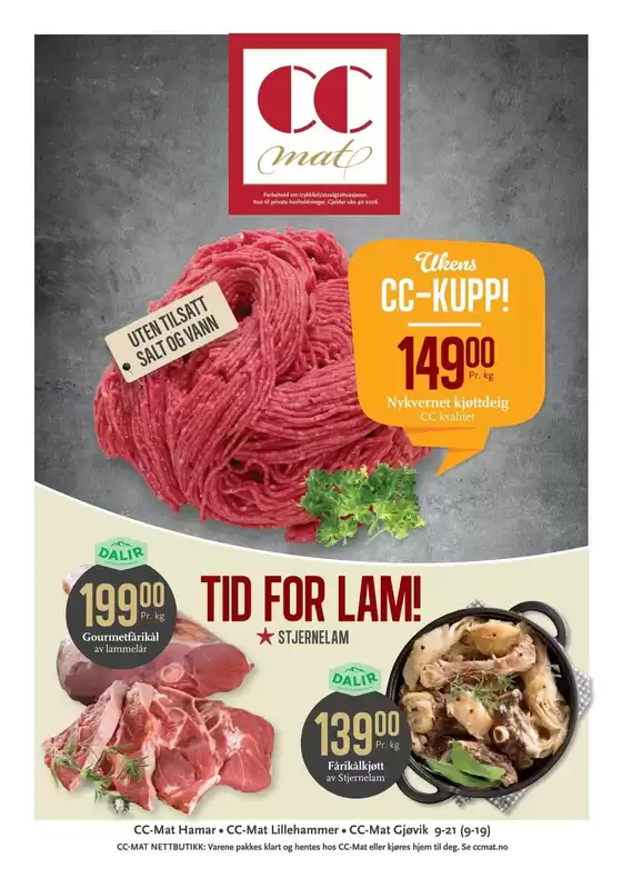 main_flyer image
