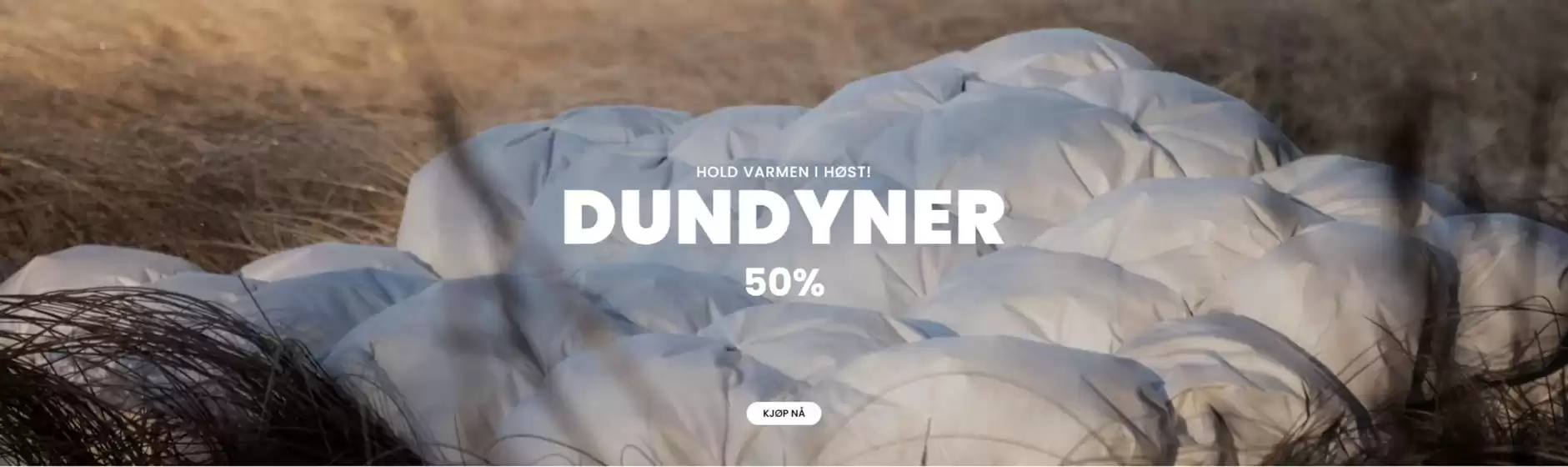 Hansen & Dysvik-katalog | Hansen & Dysvik Promo | 2026-10-23T00:00:00.000Z - 2026-11-06T00:00:00.000Z