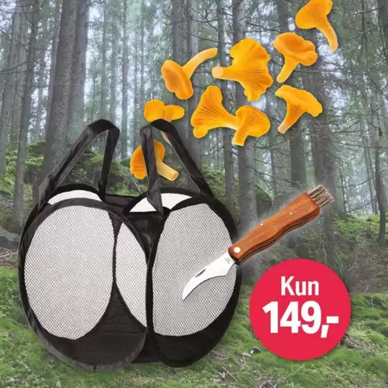 Kun 149,-