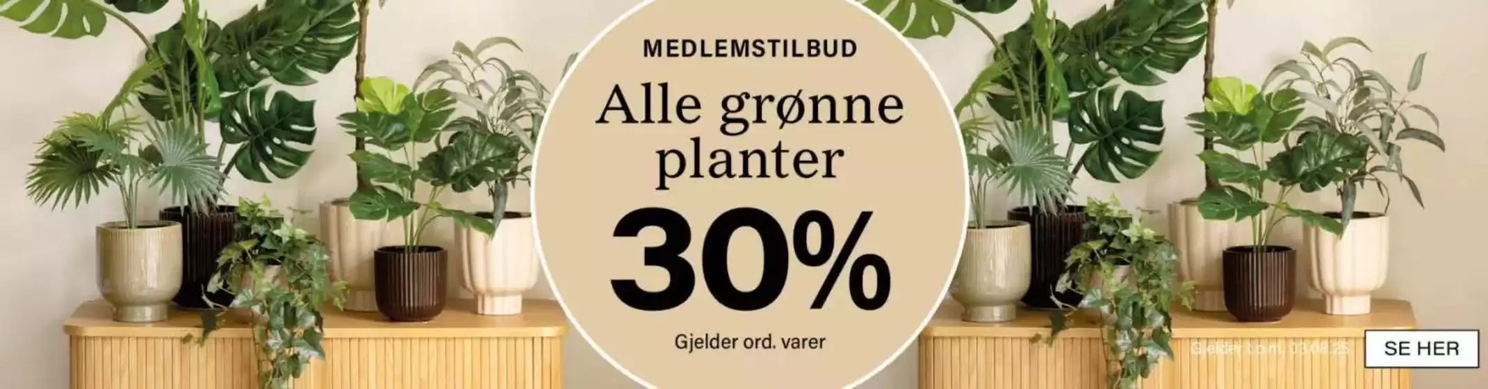 Kremmerhuset-katalog i Ålesund | 30% | 2025-07-30T00:00:00.000Z - 2025-08-03T00:00:00.000Z