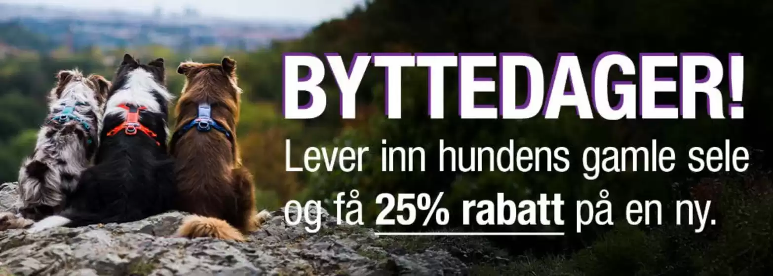 Buddy-katalog i Fredrikstad | Byttedager! | 2025-07-31T00:00:00.000Z - 2025-08-02T00:00:00.000Z