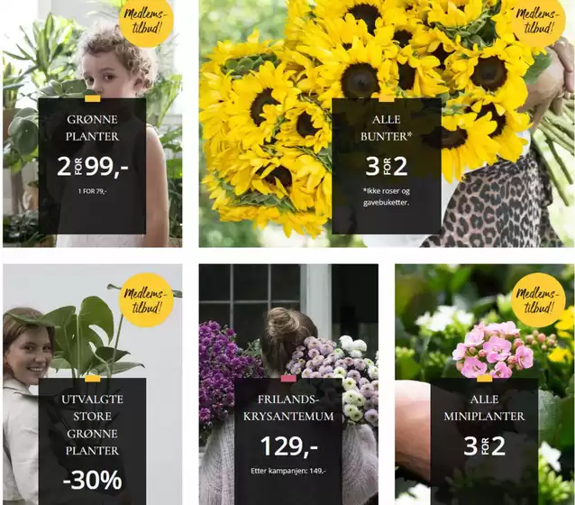 Floriss-katalog i Eide | Medlems- tilbud! | 2025-08-04T00:00:00.000Z - 2025-08-10T00:00:00.000Z